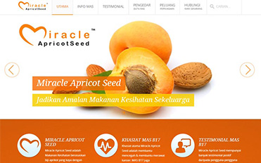 portfoilo pakar buat website